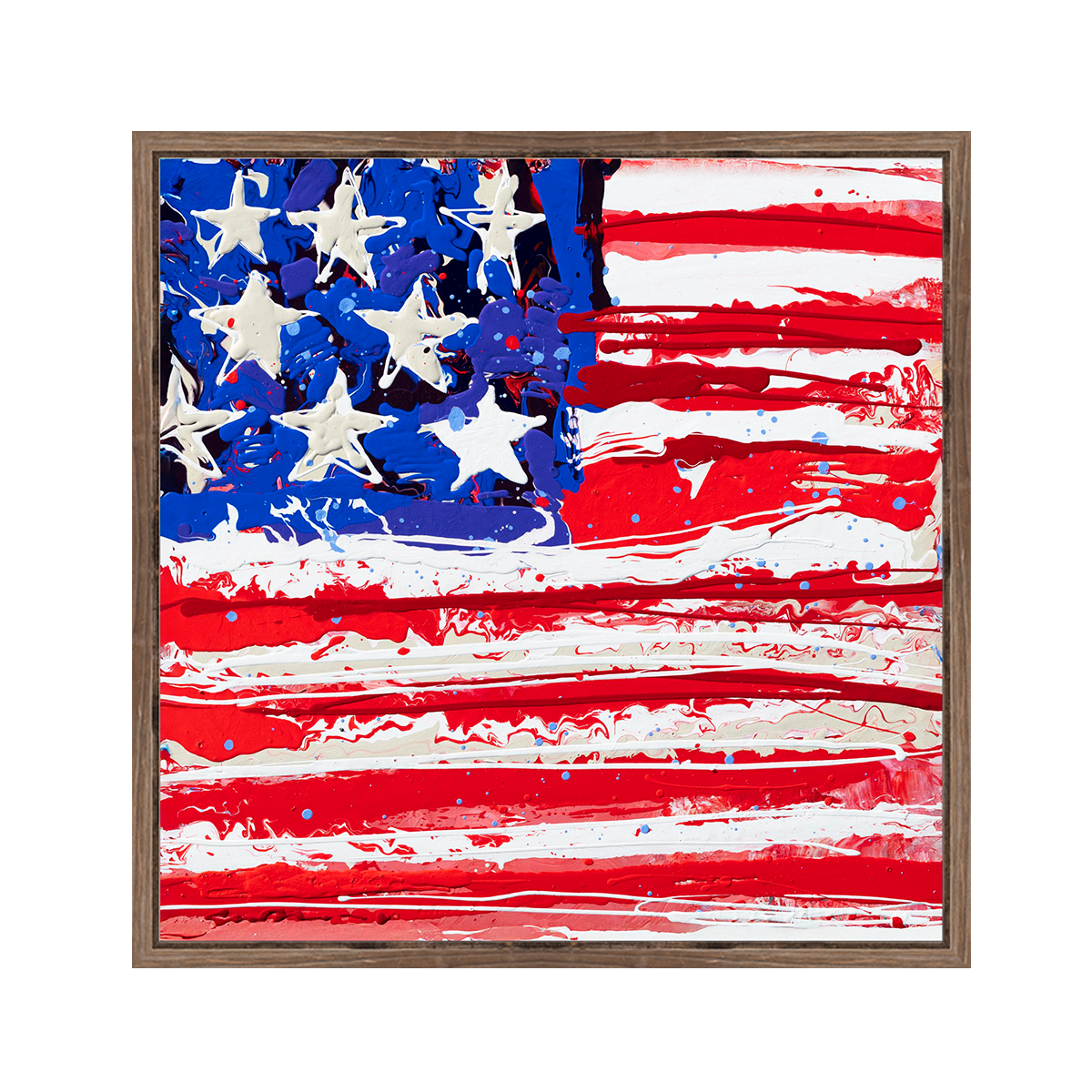 Ex Pluribus Unum - Canvas Print
